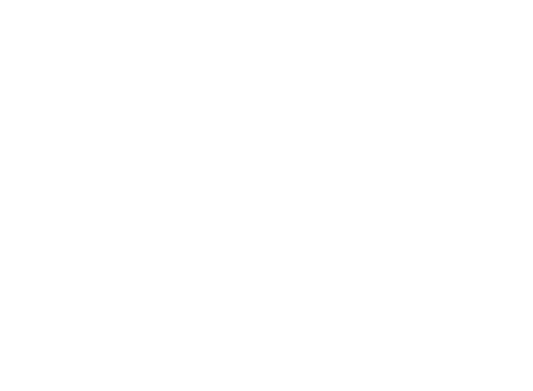The Wedding Marketers